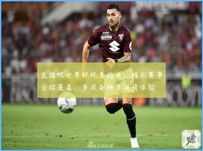 直播吧世界杯观看指南：精彩赛事全程覆盖，多设备畅享高清体验