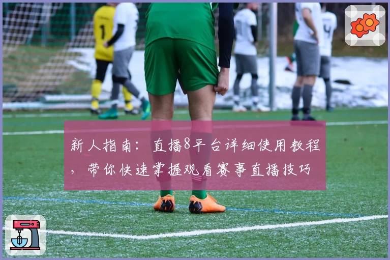 新人指南：直播8平台详细使用教程，带你快速掌握观看赛事直播技巧