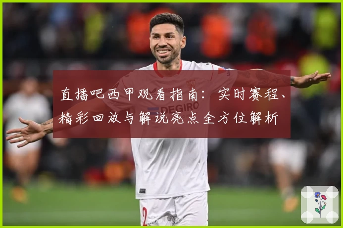 直播吧西甲观看指南：实时赛程、精彩回放与解说亮点全方位解析